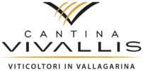 vivallis-logo-2021