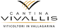 vivallis-logo-2021